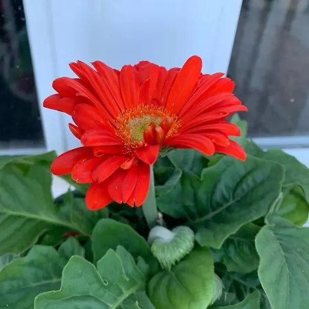 Maison Beaumont 3* Le Verdier (Tarn)