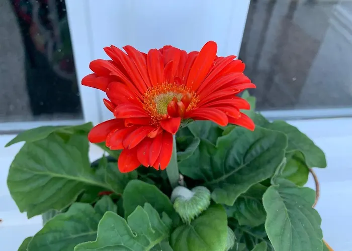 Maison Beaumont 3* Le Verdier (Tarn)