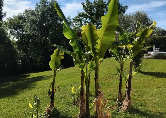Frühstückspension Maison Beaumont 3*