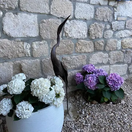 Maison Beaumont Panzió Le Verdier (Tarn)