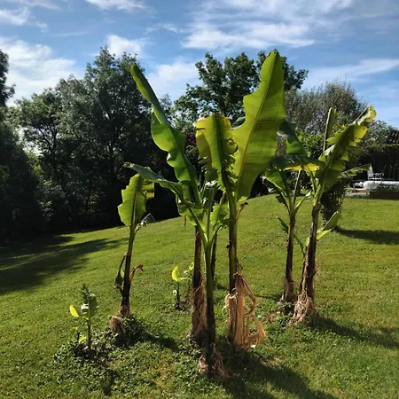 Panzió Maison Beaumont 3*