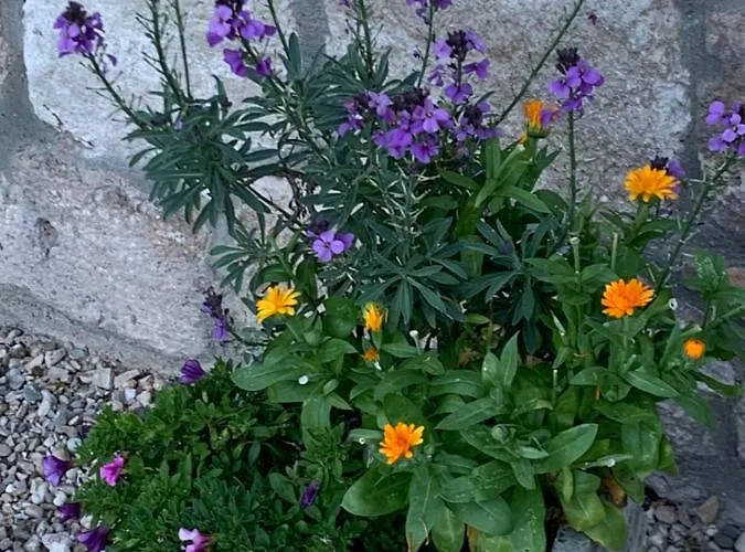 Bed & Breakfast Maison Beaumont